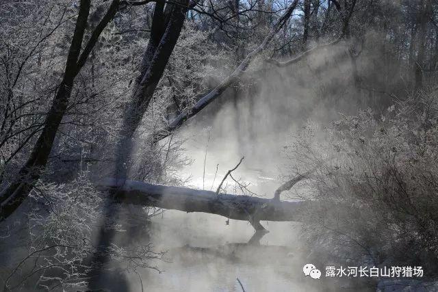 避难所逃生
